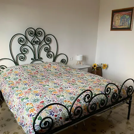 Lo Zoccolo